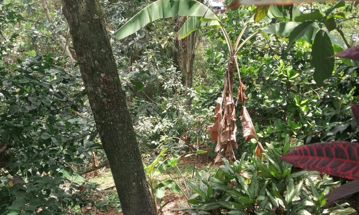 WhatsApp Image 2026-01-23 at 9.58.19 AM (2)
